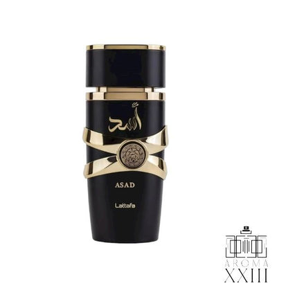Lattafa Asad | Perfume Especiado Ambarado | El León de la Noche